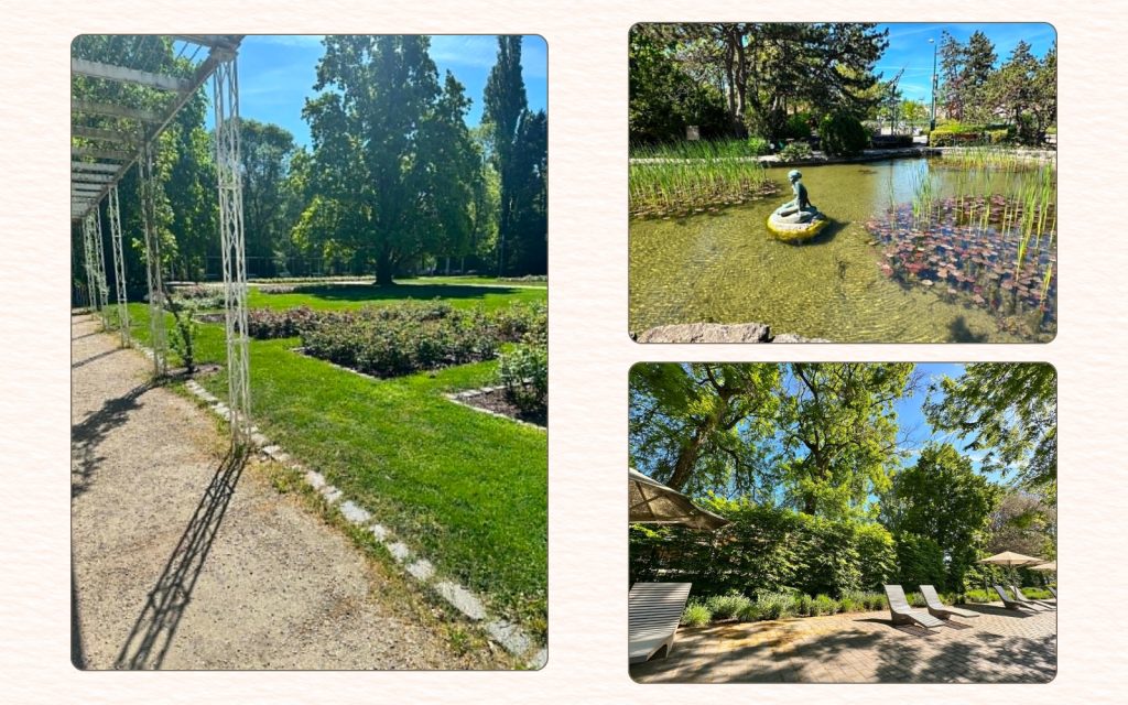 Quiet gardens, pond and shaded seating on Margaret Island in Budapest